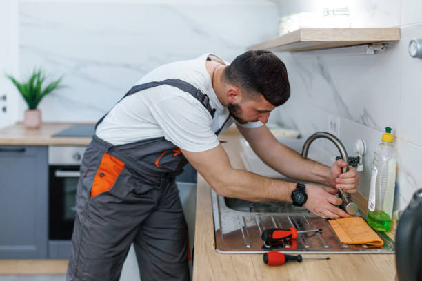 Best Residential Plumbing Services  in Wells, NV
