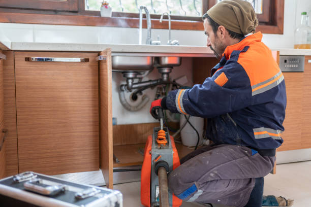 Best Local Plumber Services  in Wells, NV