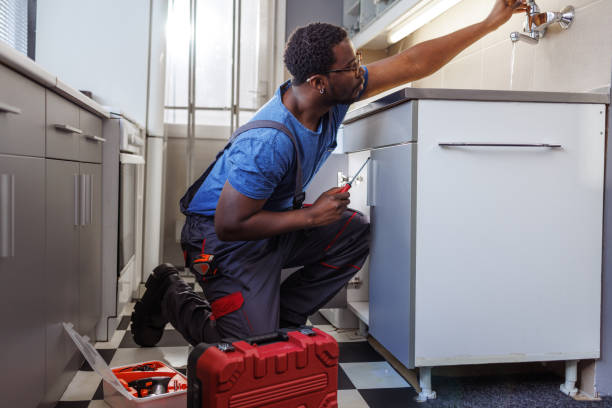 Best Faucet Repair  in Wells, NV